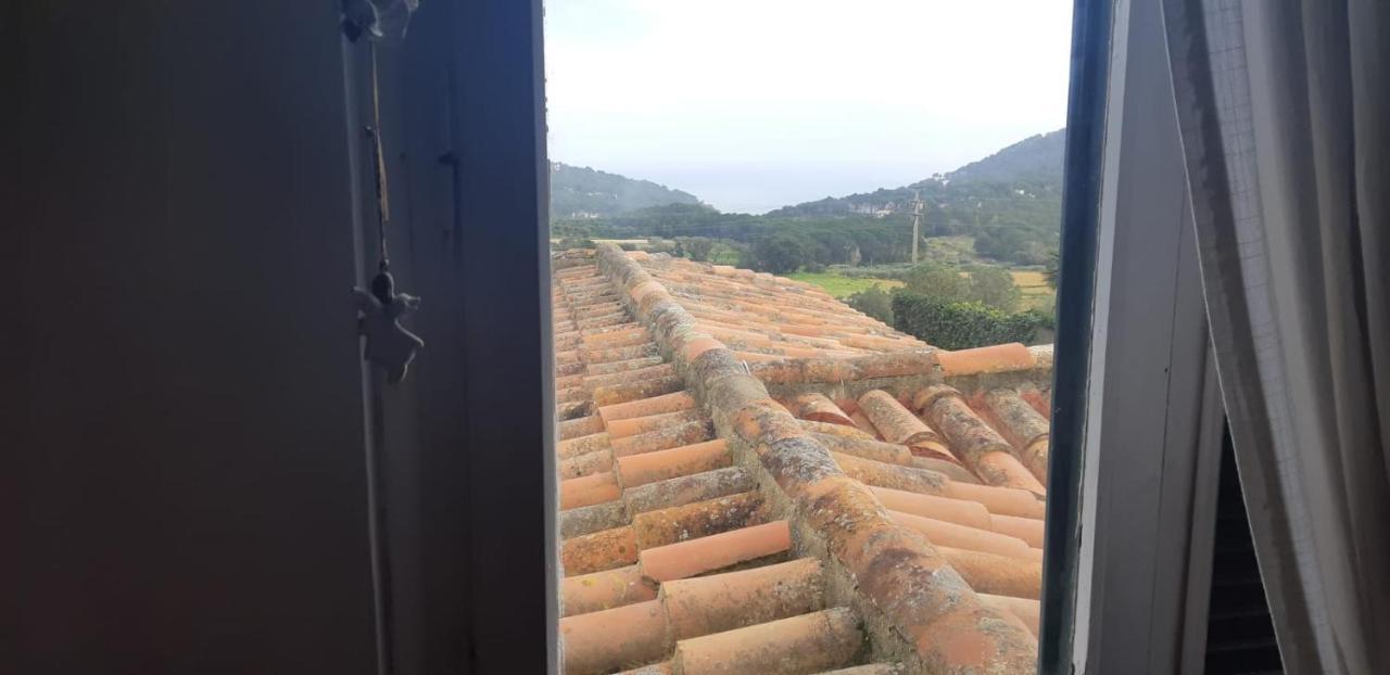 Estudio Vistas Al Mar Tamariu Y Bosques De Begur Dış mekan fotoğraf